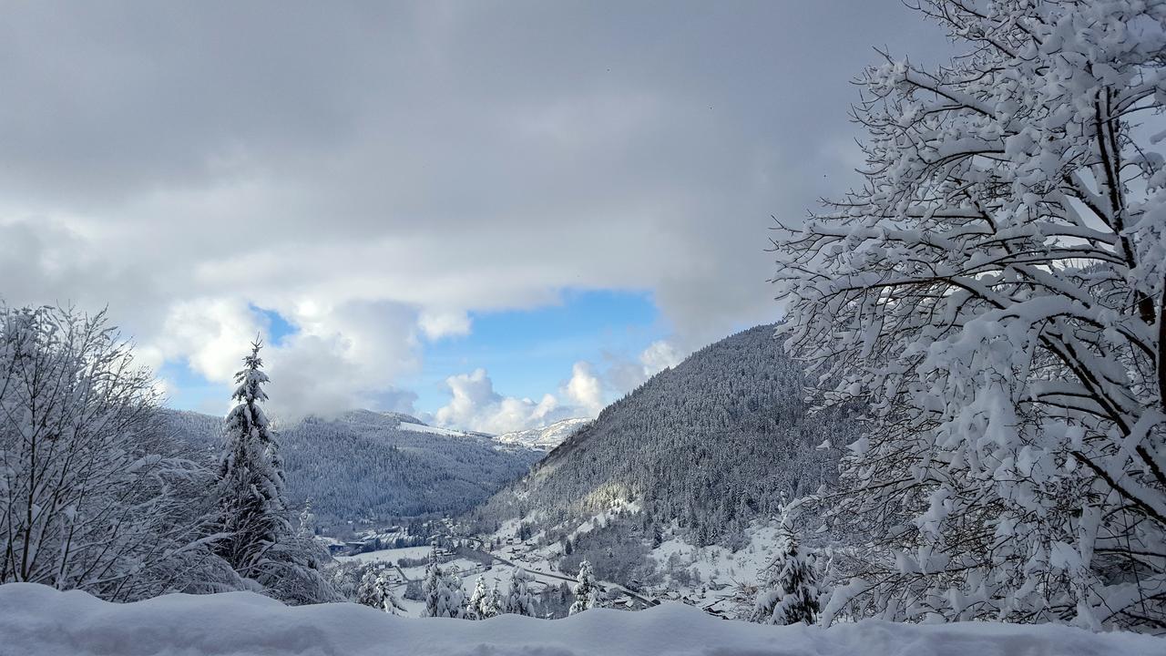 Gite De L'Ours La Bresse Bagian luar foto